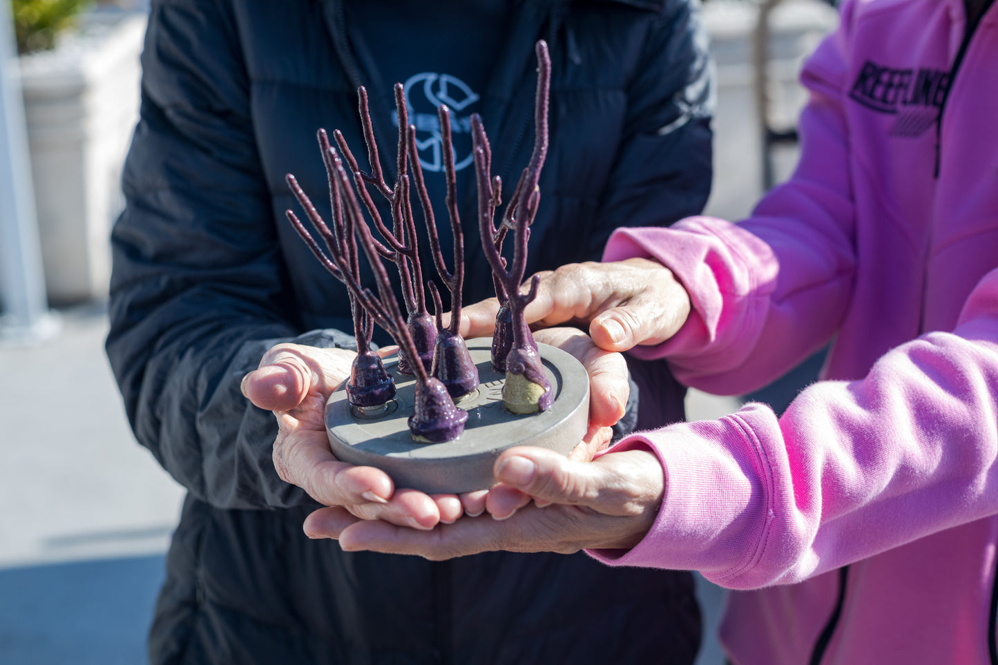 Adopt A Coral